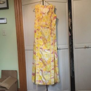 The Original Lilly🌺